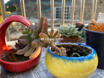 火狐电竞平台-艺术品市场的护航者:华力必维艺加一(艺+1)艺术品鉴证(图1) 火狐电竞官网