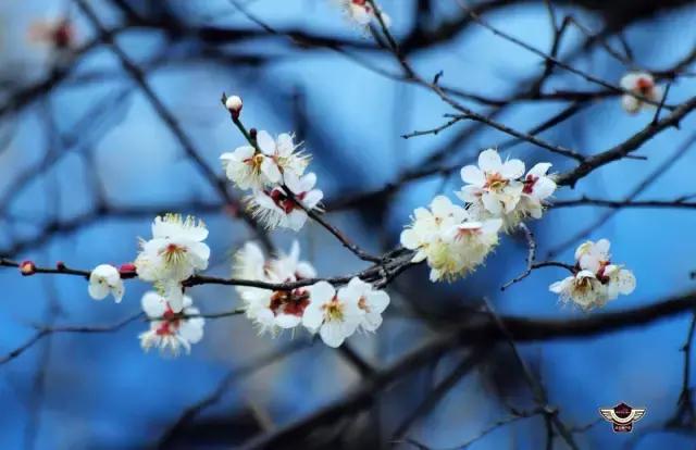 ‘火狐电竞平台’全国重点文保单位新增762处(图4) 火狐电竞