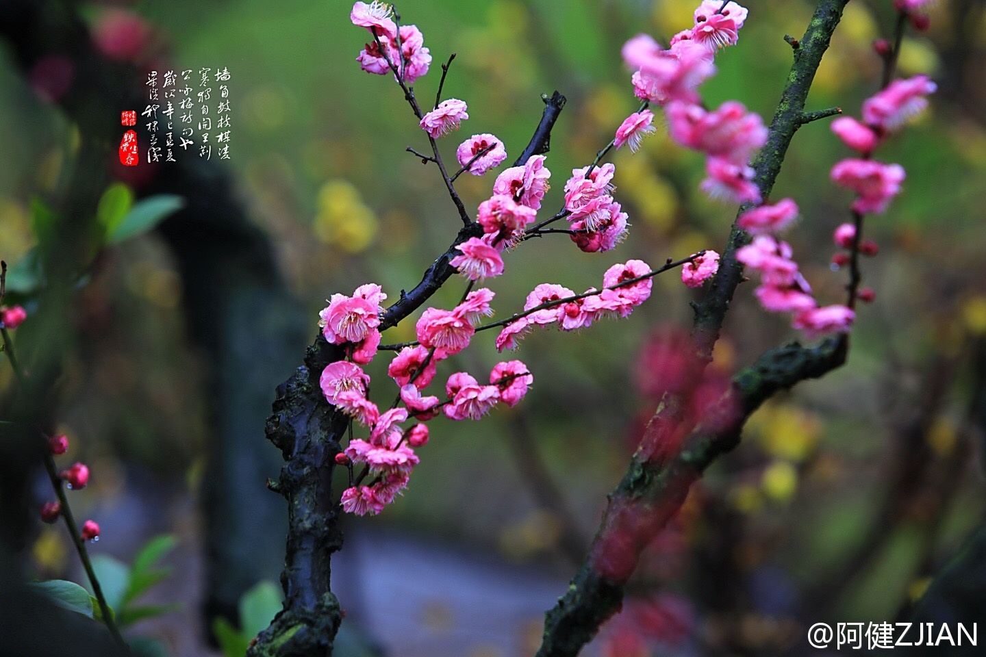 辛弃疾的爱国故事-火狐电竞官网(图4) 火狐电竞平台