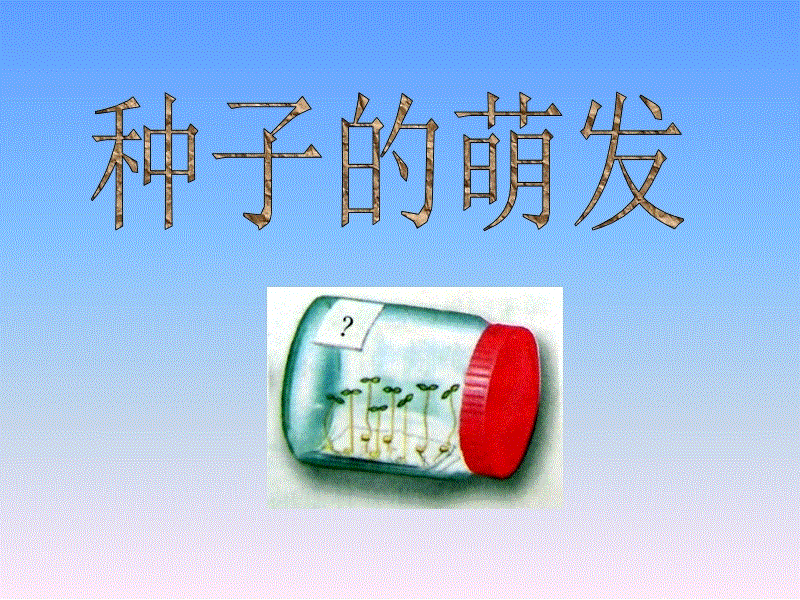 原创 精选美食:辣子鸡翅,桃仁苦菊,豆腐炒白菜,麻婆豆腐的做法_火狐电竞(图3) 火狐电竞