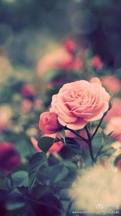 【推荐】国画电子书下载“火狐电竞平台”(图9) 火狐电竞官网