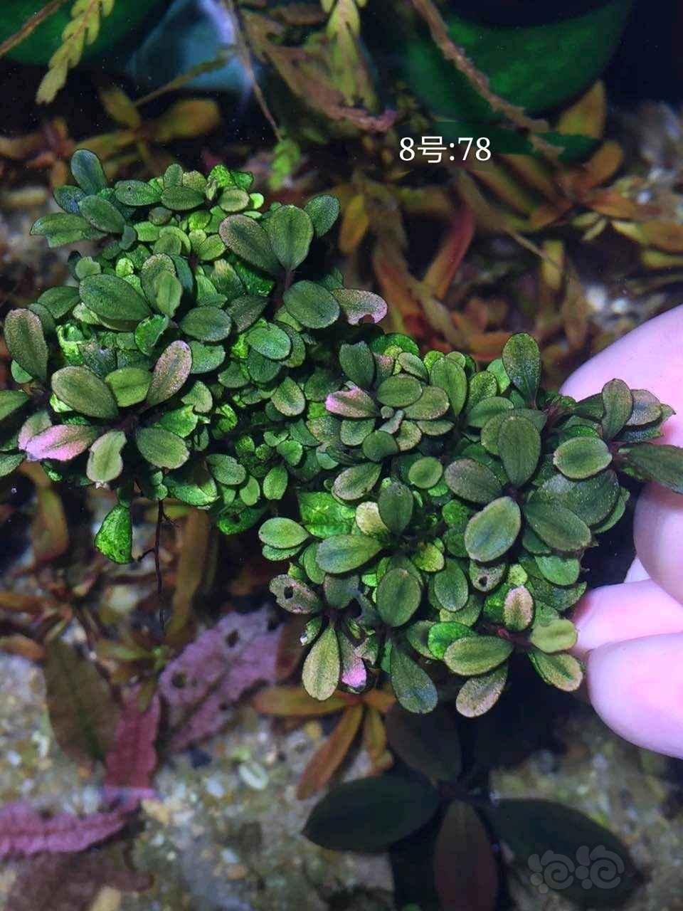 U18国青连战连败的原因找到了!球队熊猫杯表现惨淡绝非偶然-火狐电竞(图2) 火狐电竞官网