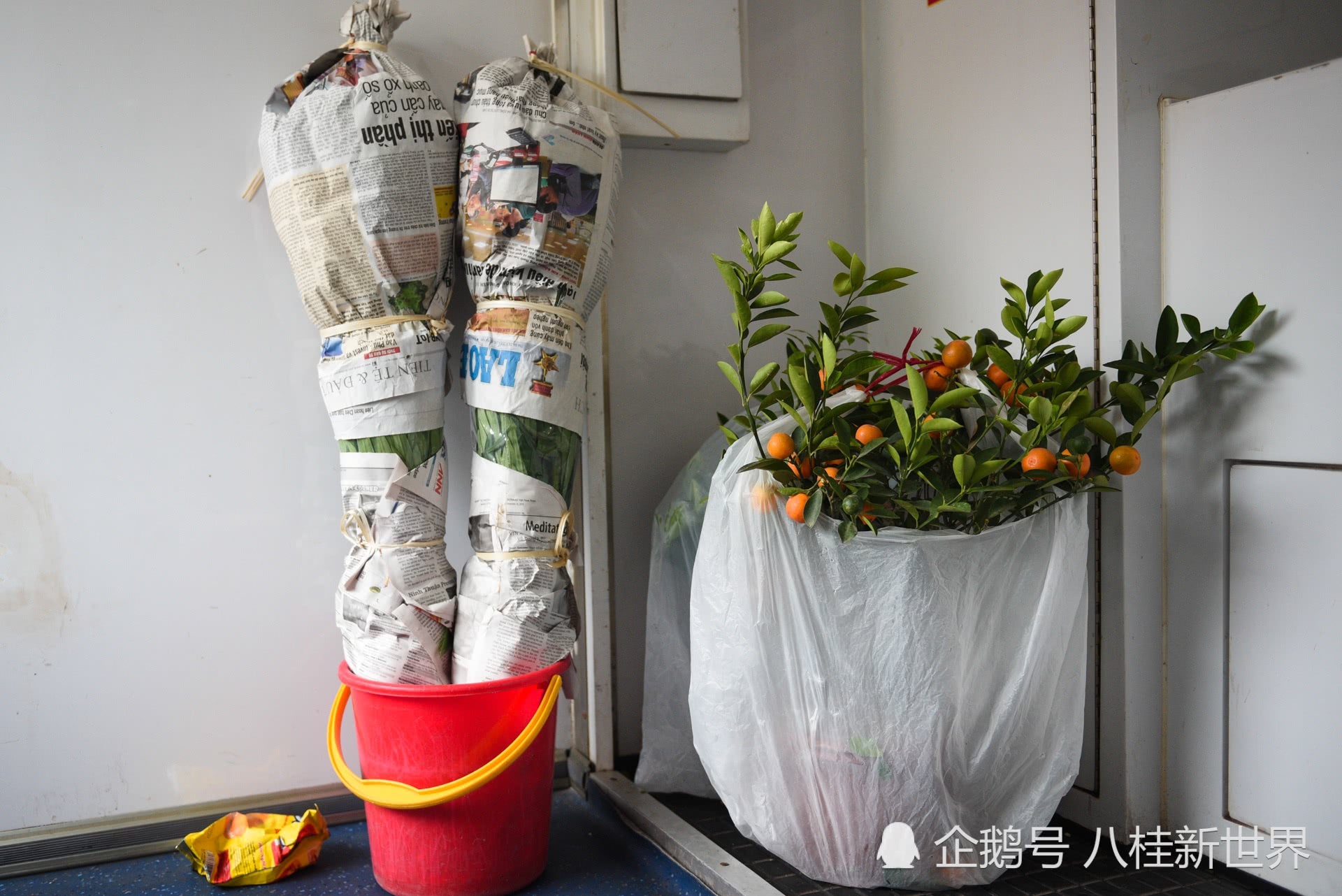 【火狐电竞】梅克斯:收到过中国俱乐部的约请;德尚曾想为马赛引进我(图2) 火狐电竞官网