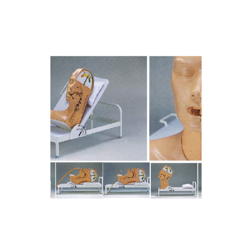 火狐电竞官网-爱尔兰撤销发行的新邮少量流出(图1) 火狐电竞平台