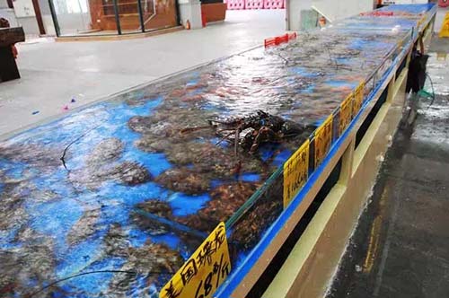 加泰德比冲刺速度排行,武磊每秒8.92米全场第一力压梅西_火狐电竞(图1) 火狐电竞官网