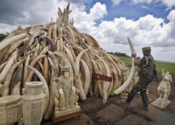 火狐电竞_津媒:泰达不太可能再引进后腰,目前引援重点是第五外援(图1) 火狐电竞平台