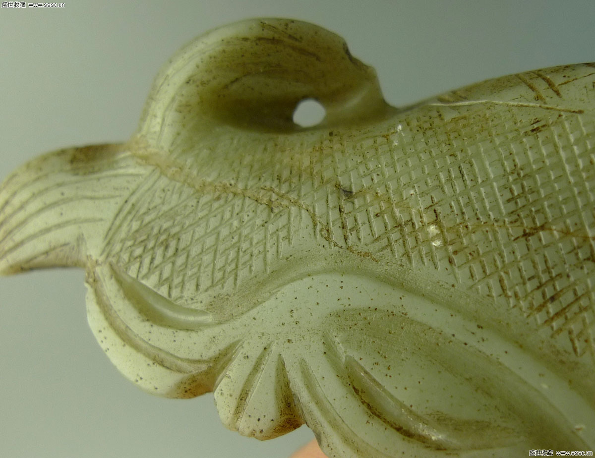 身材发福的蔡慧康已成上港鸡肋!未来再不瘦身将彻底被取球队弃用“火狐电竞平台”(图4) 火狐电竞