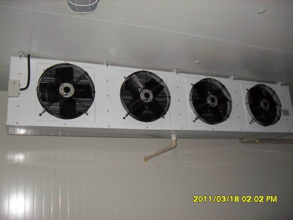 春游去哪儿玩作文讲解,春游去哪儿玩?作文200多字【火狐电竞平台】(图1) 火狐电竞