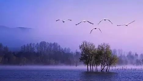 在韦皋的满月席上,一神僧曾说:他将来定会出将入相“火狐电竞官网”(图1) 火狐电竞