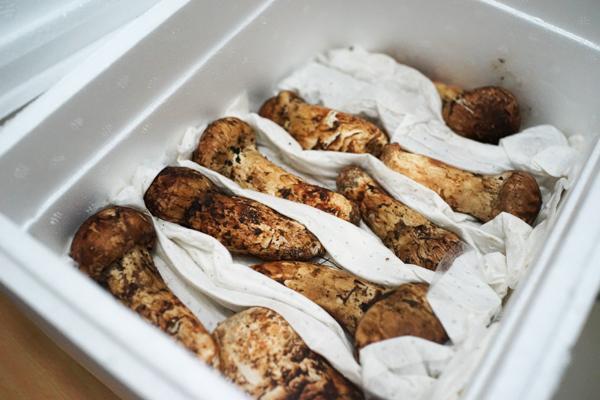 火狐电竞官网|美国弗吉尼亚美术馆藏123件20世纪珠宝珍品将亮相国博(图1) 火狐电竞官网