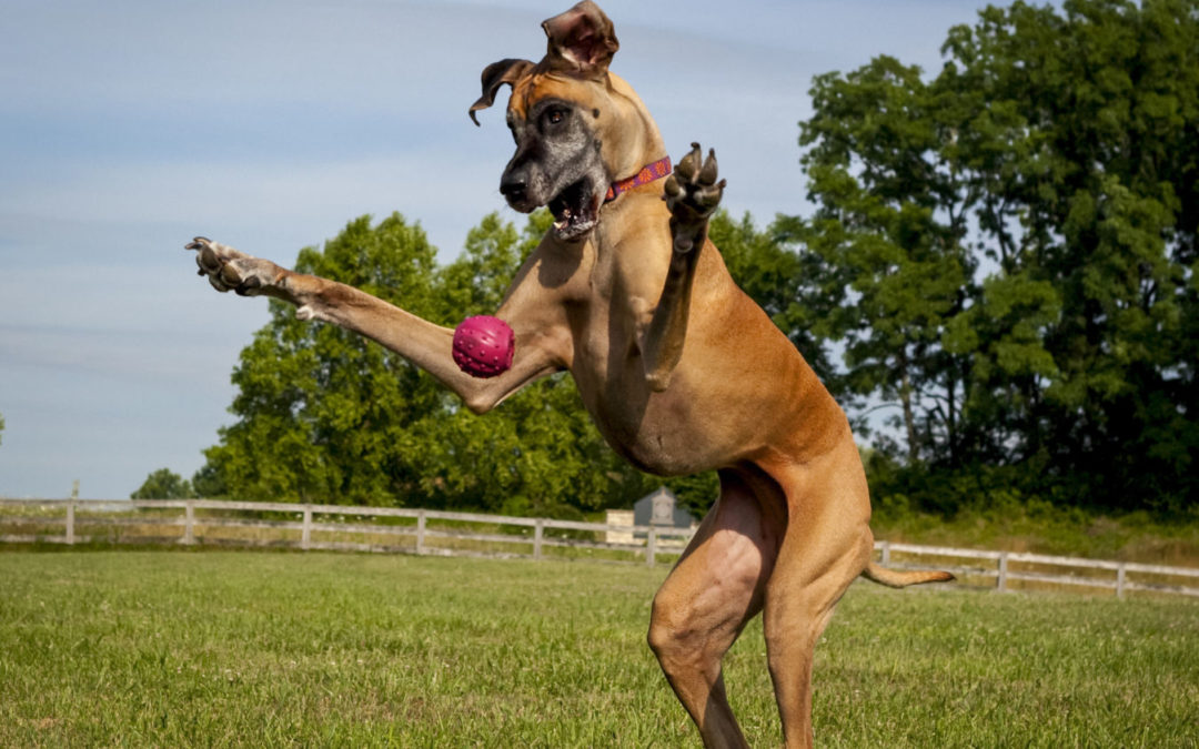 恒大新星王者归来助国奥大胜泰超劲旅!下赛季他的表现值得期待|火狐电竞平台(图1) 火狐电竞平台