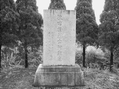 火狐电竞