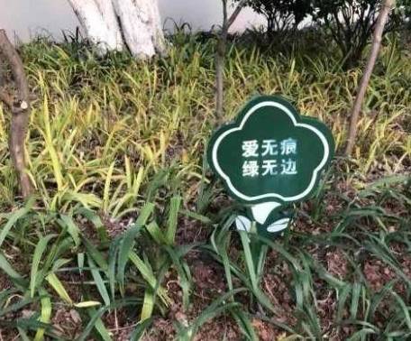“火狐电竞平台”
你遇到的 穿这种鞋子的一般都是什么人？(图4)