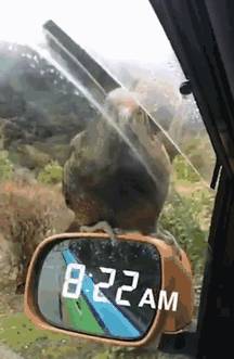 “火狐电竞平台”
你遇到的 穿这种鞋子的一般都是什么人？(图22)