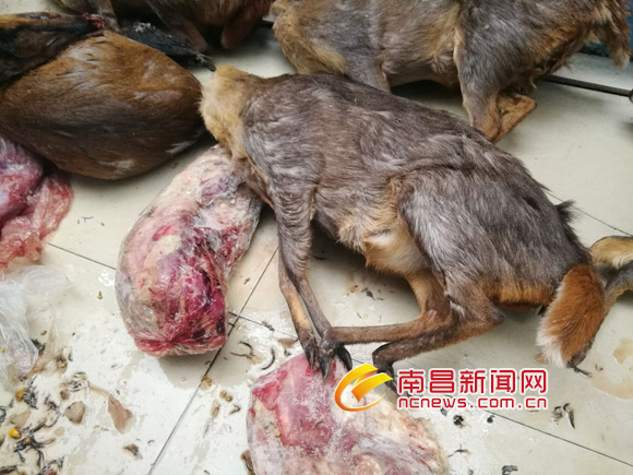 火狐电竞