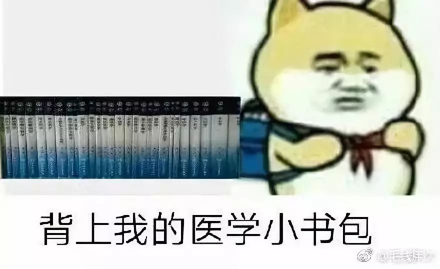 火狐电竞|今年已投入4.5亿! 这个美女老板让全中超肃然起敬(图1) 火狐电竞官网